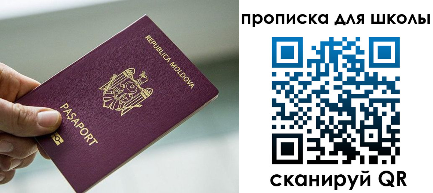 прописка в квартире в Снежногорске